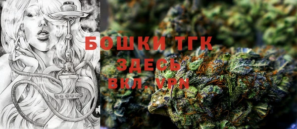дживик Баксан