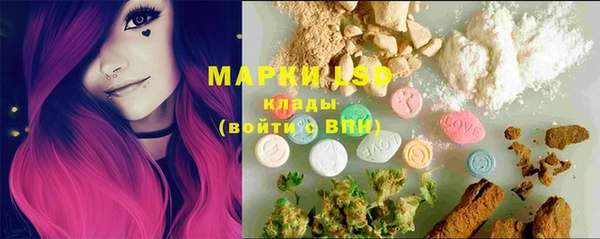 дживик Баксан
